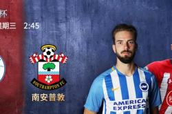 爱游戏在线-南安普顿换帅后反弹，状态回勇