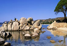 爱游戏娱乐-鹈鹕绝杀巴西男篮，威斯布鲁克高光表现的简单介绍