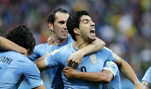 包含南美洲篮球联赛展开激烈角逐，豪强强强碰撞的词条