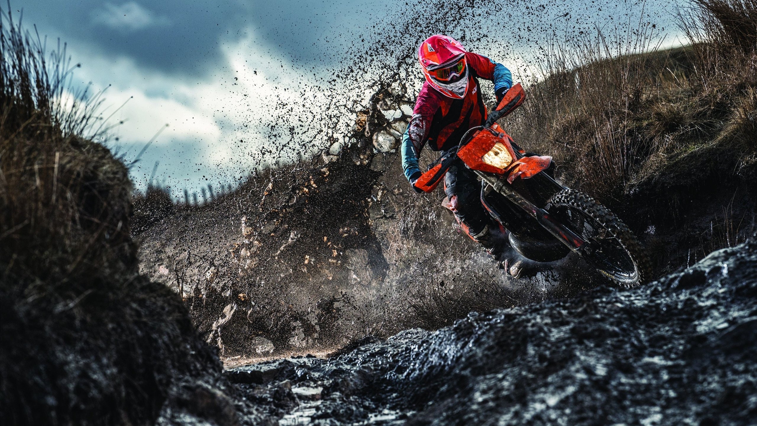 阿劳霍，加勒比海风笛手，在洪都拉斯与苏格兰的棋盘上独舞